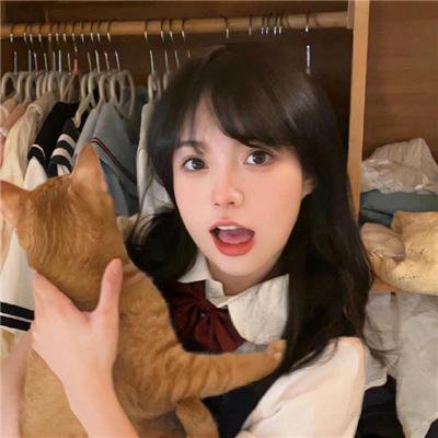 芝士伙伴
